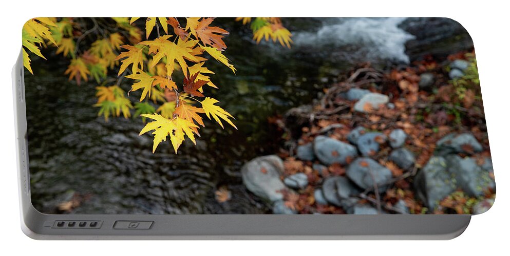 Autumn Portable Battery Charger featuring the photograph Yellow maple leaves on a tree above a river from the beautiful by Michalakis Ppalis