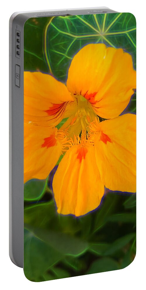Yellow Flower Portable Battery Charger featuring the photograph Yellow Flower In A Garden by Cordia Murphy