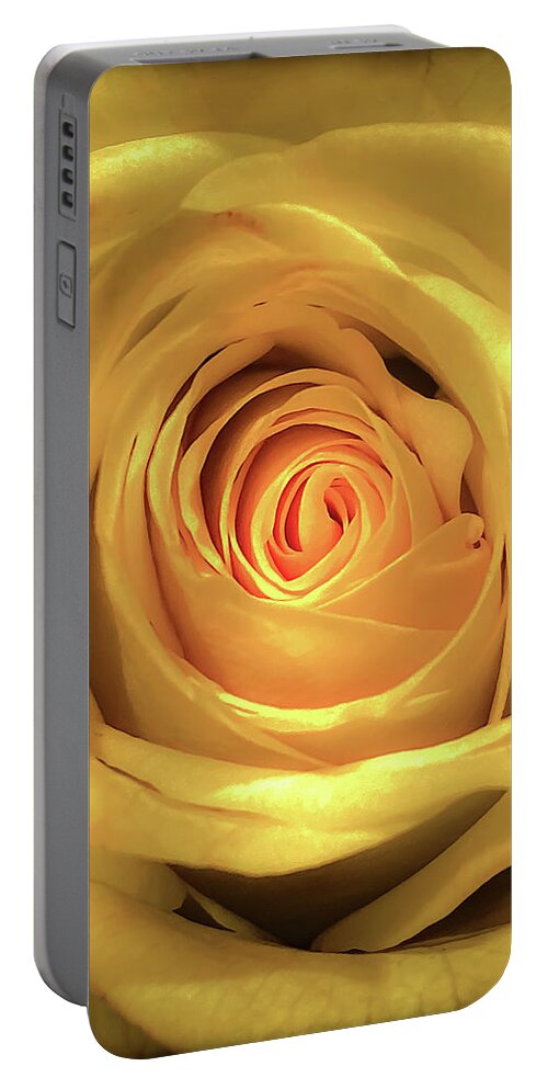 Flower Portable Battery Charger featuring the photograph Yellow Rose by Anamar Pictures