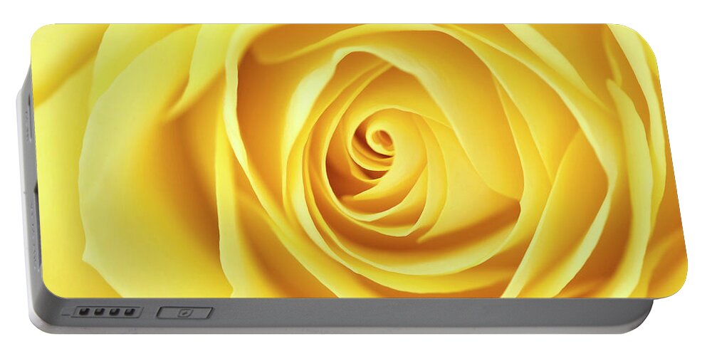 Beauty Portable Battery Charger featuring the photograph Yellow rose by Jane Rix