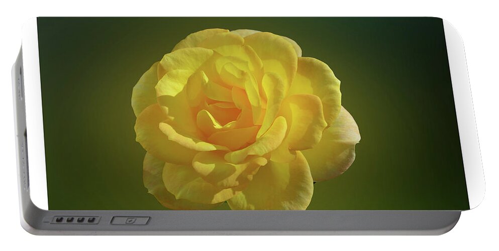 Rose Portable Battery Charger featuring the photograph Yellow Rose of Texas by Carol Eliassen