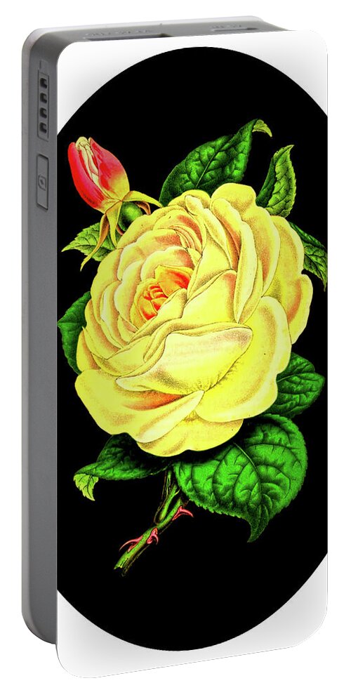 Floral Portable Battery Charger featuring the mixed media Yellow Rose on Oval by Lorena Cassady