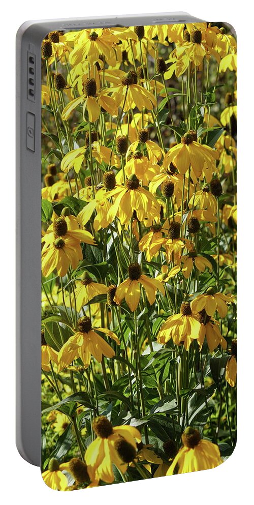 Yellow Portable Battery Charger featuring the photograph Yellow Rudbeckia by Jeff Townsend