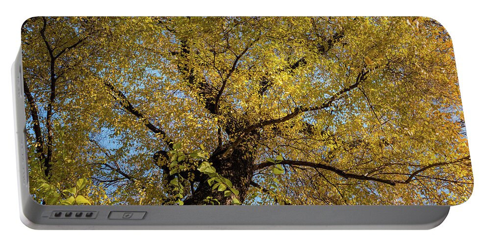 Nature Portable Battery Charger featuring the photograph Yellow sky by Alberto Zanoni