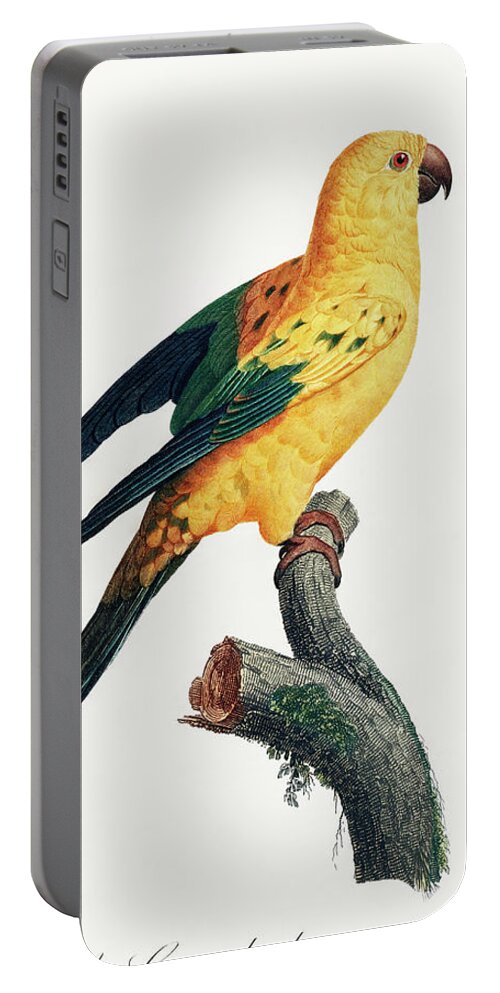 Yellow Sun Parakeet Portable Battery Charger featuring the mixed media Yellow Sun Parakeet by World Art Collective