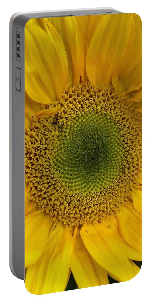 Sunflower Portable Battery Charger featuring the photograph Yellow Sunflower by Lisa Pearlman