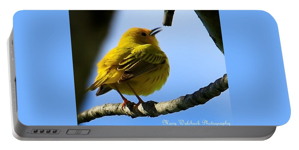Yellow Warbler Portable Battery Charger featuring the photograph Yellow Warbler Singing in the Spotlight by Mary Walchuck