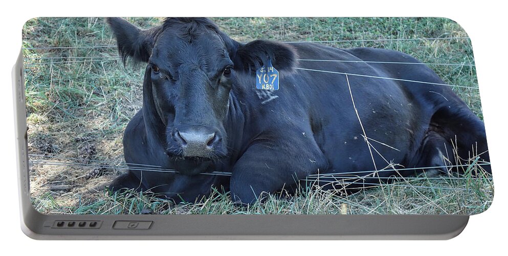 Wildlife Portable Battery Charger featuring the photograph Yo7 Caught in Fence by Russ Considine