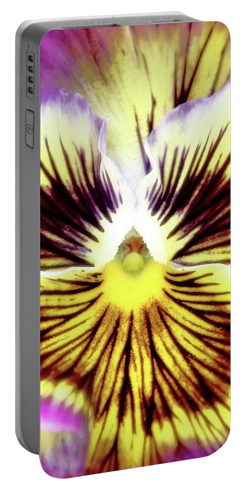 Floral Portable Battery Charger featuring the photograph You Pansy by Lens Art Photography By Larry Trager