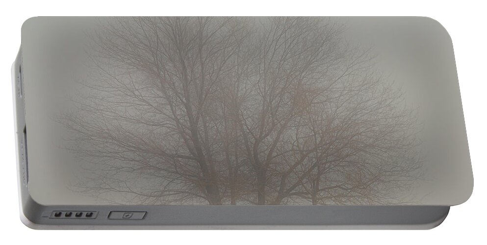 Light Portable Battery Charger featuring the photograph Young Oaks in Morning Fog by Mike Lee