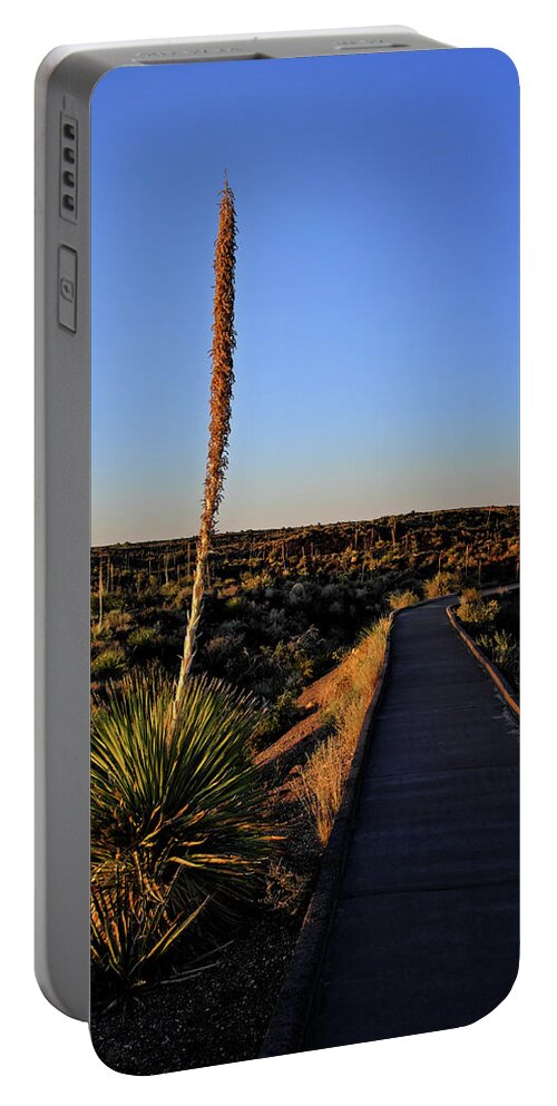 Valley Of The Fires Portable Battery Charger featuring the photograph Yucca by the Path by George Taylor