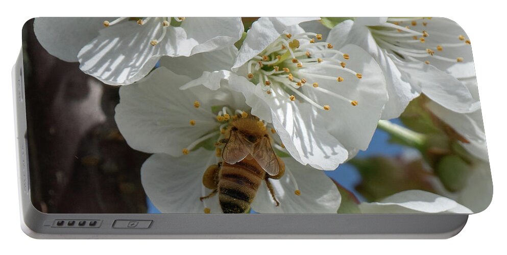 Bee Portable Battery Charger featuring the photograph Yummmm by Leslie Struxness