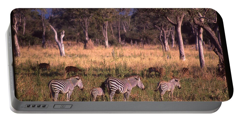 Africa Portable Battery Charger featuring the photograph Zebra Family Landscape by Russel Considine
