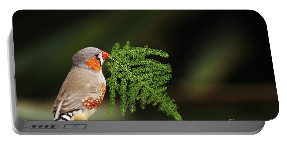 Zebra Portable Battery Charger featuring the photograph Zebra finch by Frederic Bourrigaud