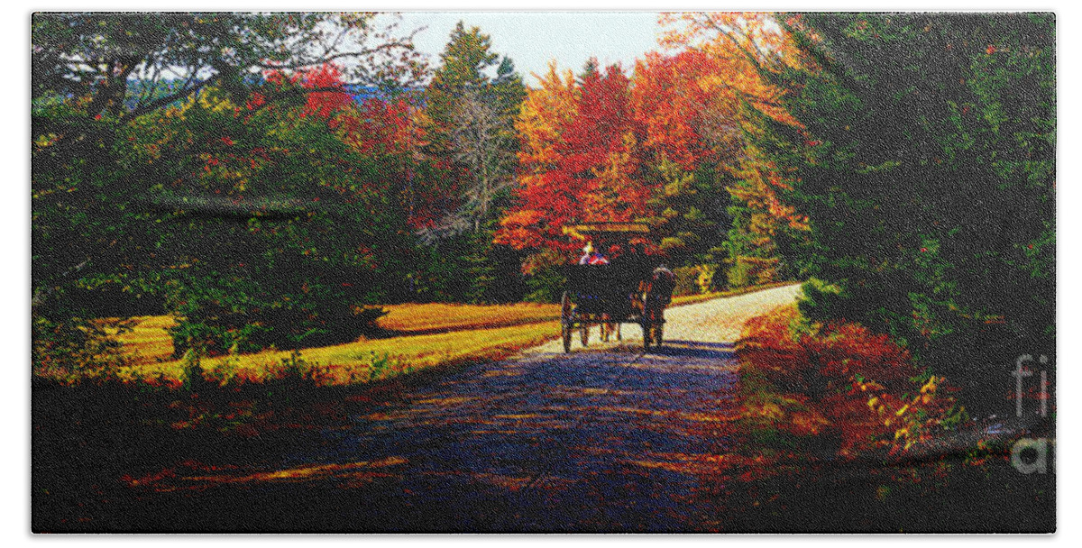  Acadia Beach Towel featuring the photograph Acadia national park carriage trail fall by Tom Jelen