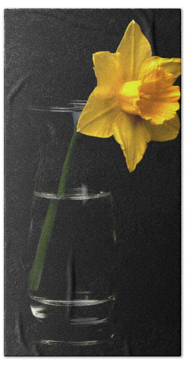Natural Beach Towel featuring the photograph Daffodil by Ron Roberts