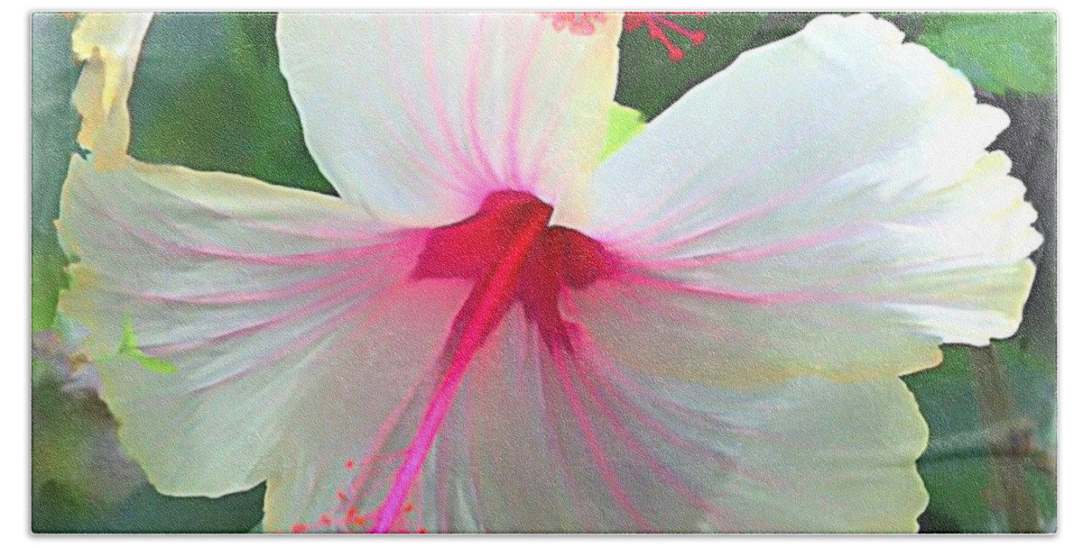 Hawaiian Hibiscus Flower Beach Towel featuring the photograph Delicate Beauty Hibiscus by Peggy Franz