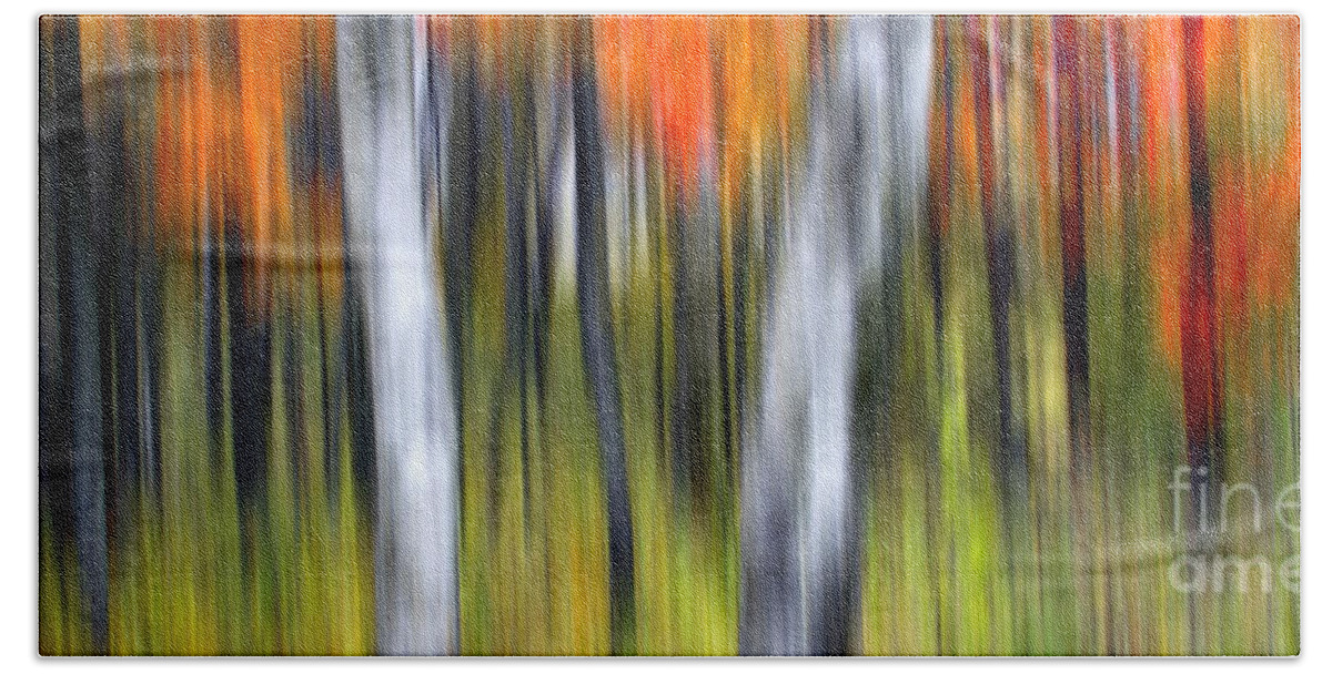 Fall Beach Towel featuring the photograph 0899 Fall Color Abstract by Steve Sturgill