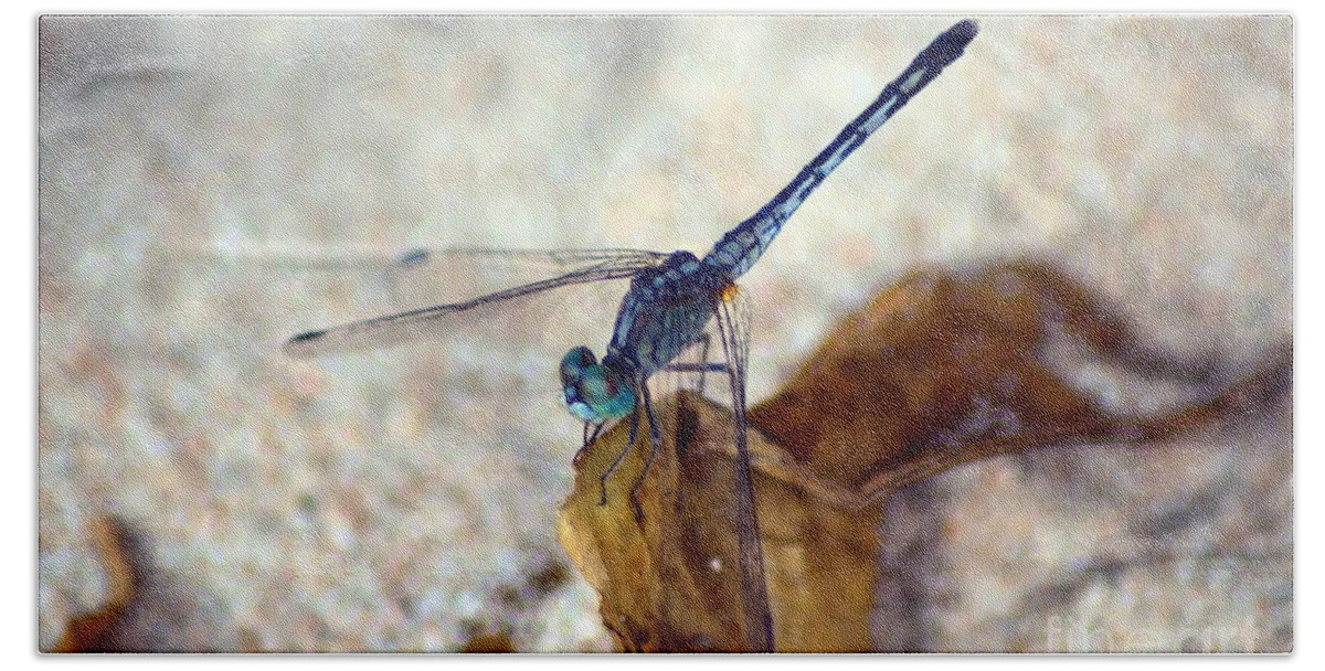 Michelle Meenawong Beach Sheet featuring the photograph Blue Dragonfly #1 by Michelle Meenawong