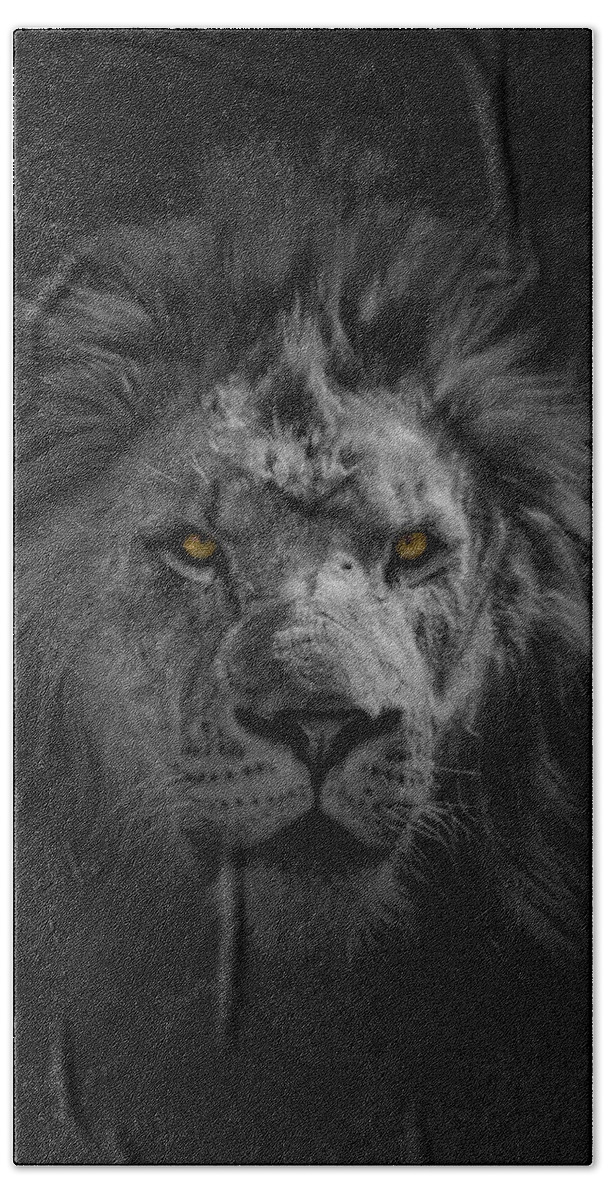 Africa Beach Towel featuring the photograph African Lion #1 by Peter Lakomy