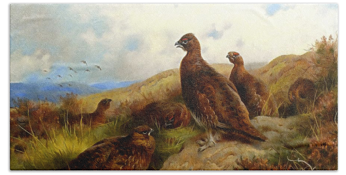 Archibald Thorburn Beach Towel featuring the painting Red Grouse by Archibald Thorburn