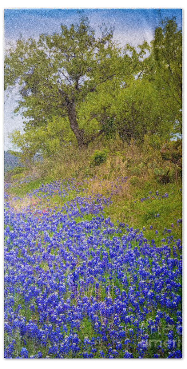 America Beach Towel featuring the photograph Bluebonnet Meadow #1 by Inge Johnsson