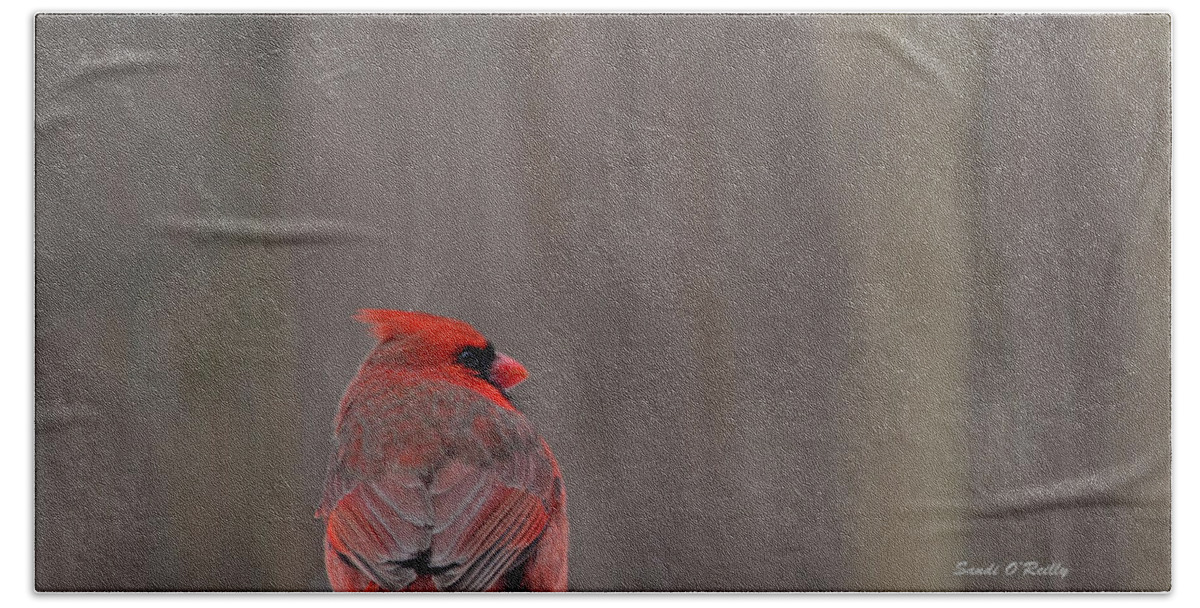 Northern Cardinal Beach Towel featuring the photograph Cardinal In The Snowstorm #1 by Sandi OReilly