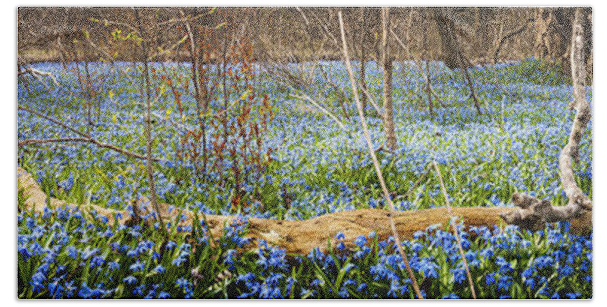 Flowers Beach Towel featuring the photograph Carpet of blue flowers in spring forest 2 by Elena Elisseeva