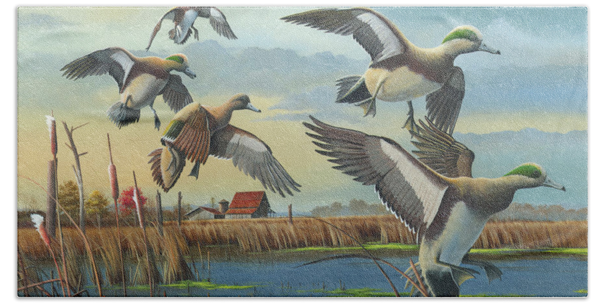 American Wigeons Beach Sheet featuring the painting Coming Home by Mike Brown