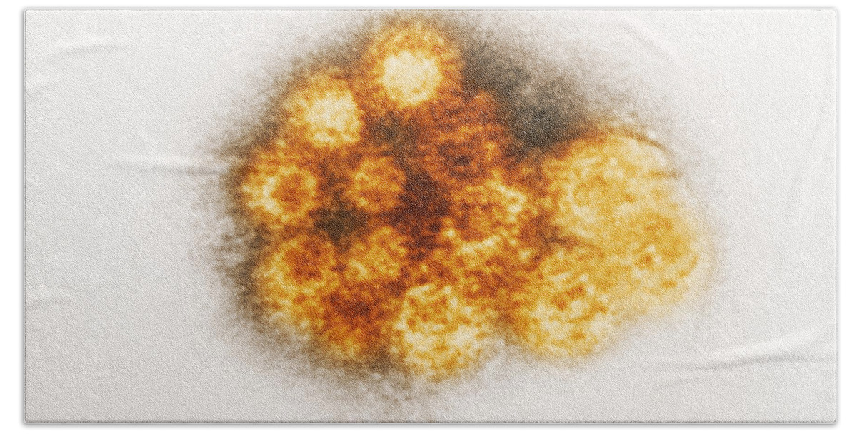 Tem Beach Sheet featuring the photograph Enterovirus, Tem #1 by Science Source