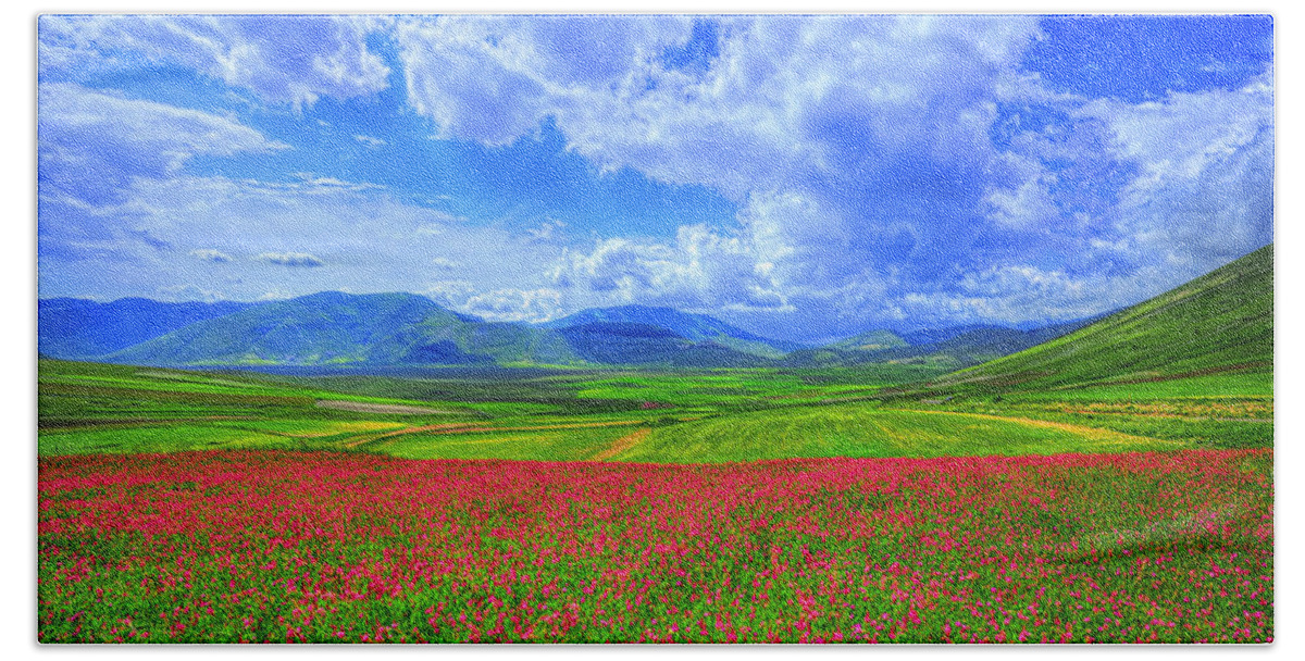 Flowers Beach Sheet featuring the photograph Fields of Dreams #1 by Midori Chan