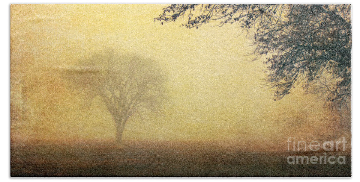 Trees Beach Towel featuring the photograph Foggy Morning #2 by Pam Holdsworth