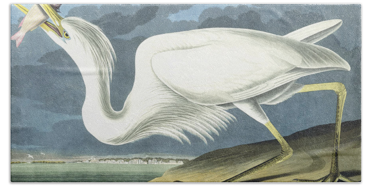 John James Audubon Beach Towel featuring the painting Great White Heron by John James Audubon
