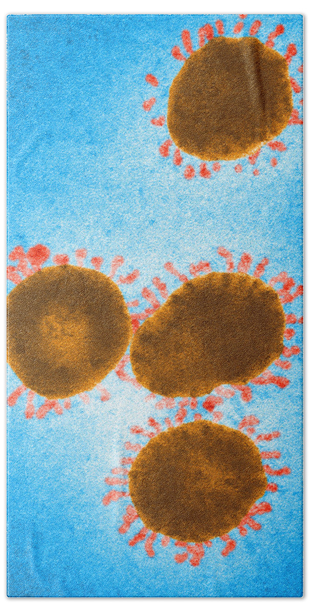 Virus Beach Towel featuring the photograph Infectious Bronchitis Virus by Science Source