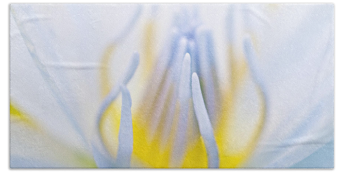 Floral Beach Towel featuring the photograph Inside #1 by Priya Ghose