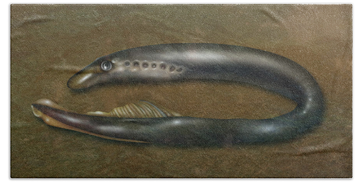 Nature Beach Towel featuring the photograph Lamprey Eel, Illustration by Gwen Shockey
