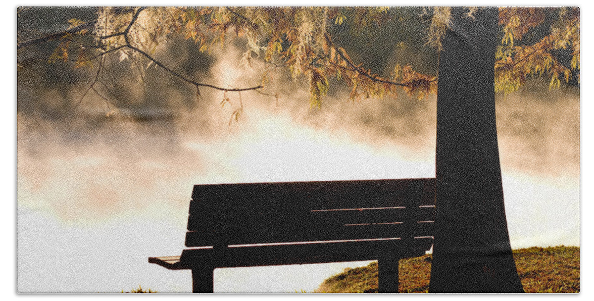Alexander Springs Beach Towel featuring the photograph Morning Mist at the Spring #1 by Stefan Mazzola