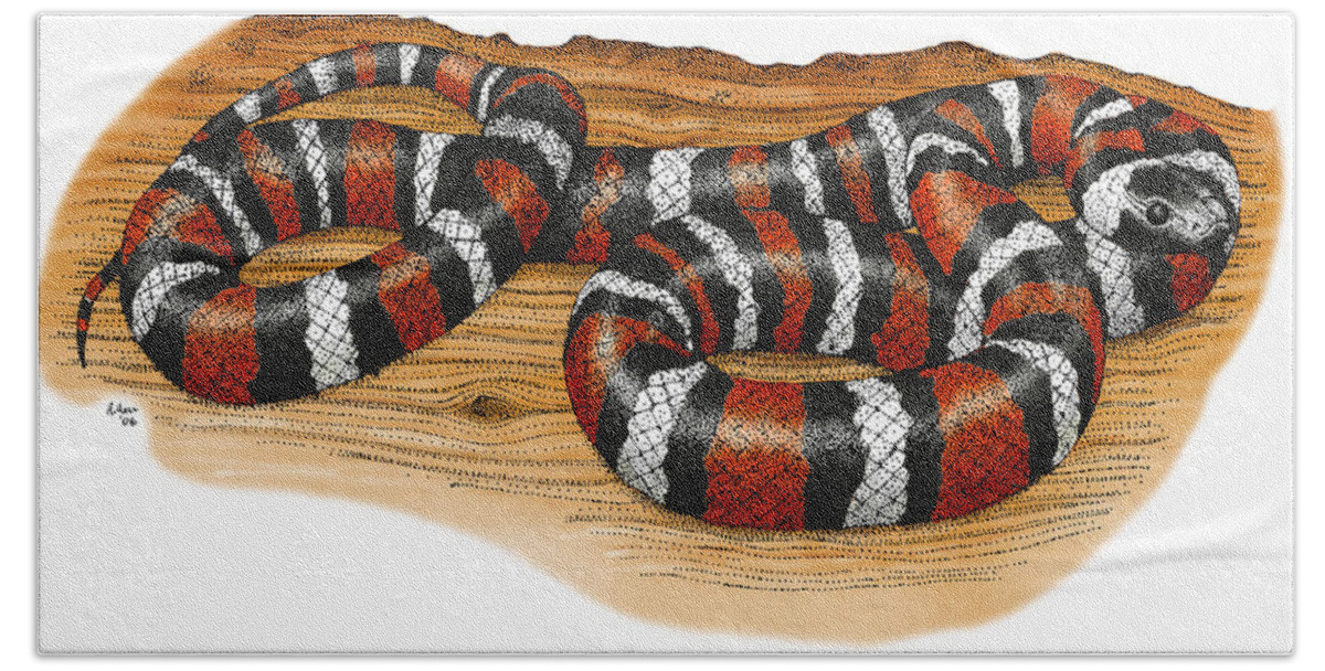 Art Beach Towel featuring the photograph Mountain Kingsnake by Roger Hall