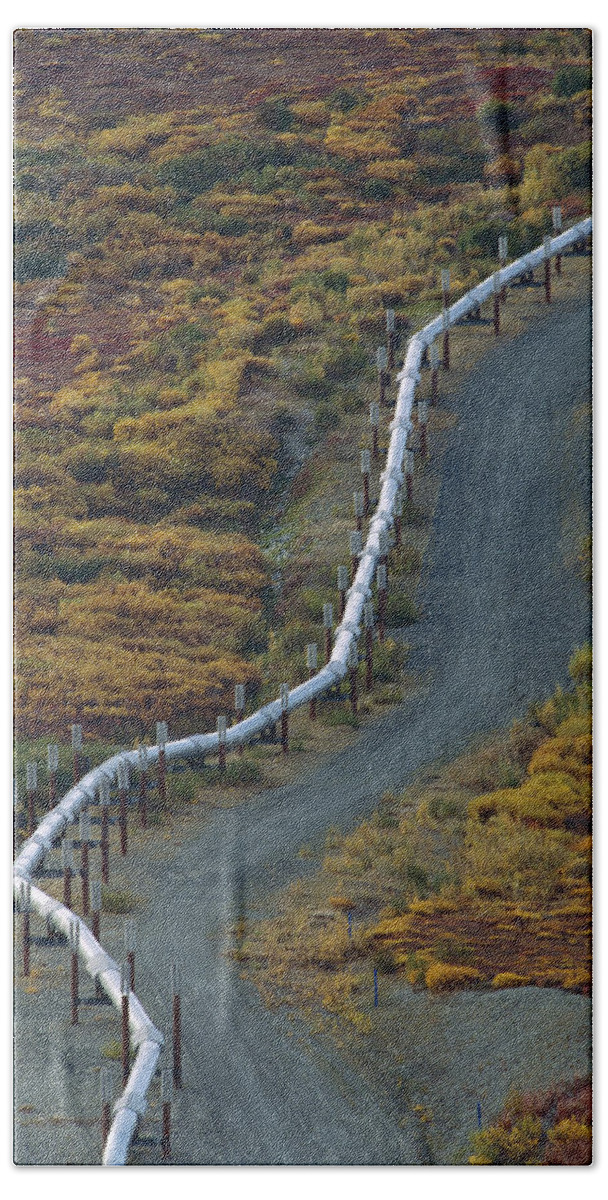 Feb0514 Beach Towel featuring the photograph Oil Pipeline Crossing Taiga Alaska #1 by Gerry Ellis