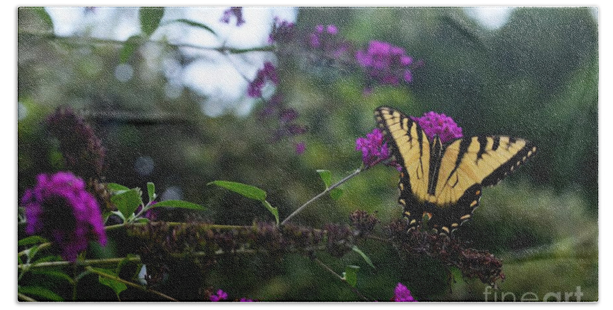 Butterfly Beach Towel featuring the photograph Out Of Bounds II #1 by Judy Wolinsky