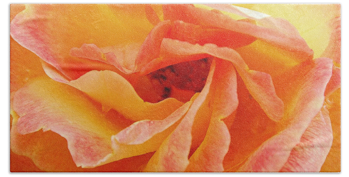 Peach Rose Beach Towel featuring the photograph Peach Rose #2 by Allen Beatty
