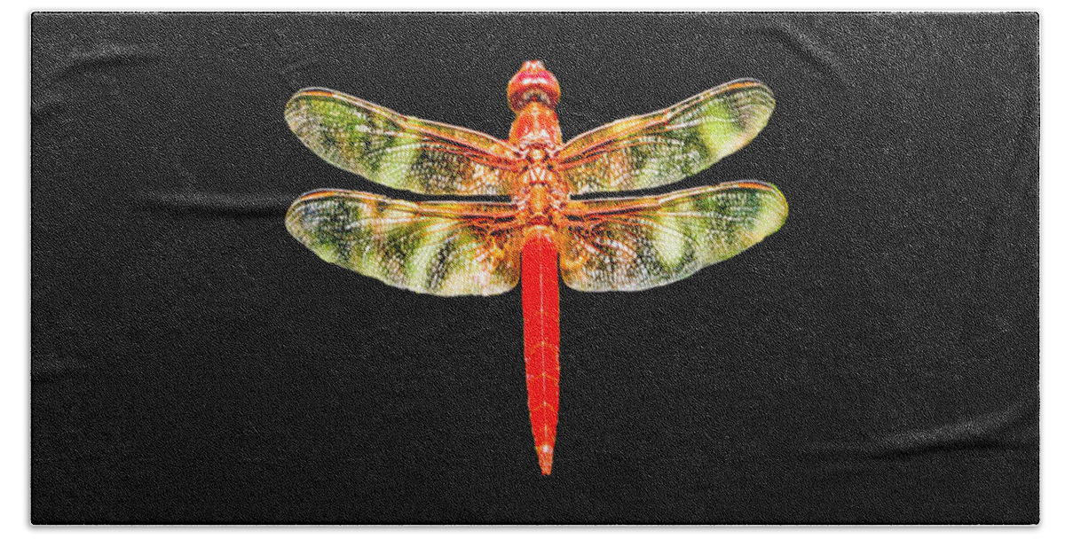 Red Dragonfly Beach Towel featuring the photograph Red Dragonfly Small by Tony Grider