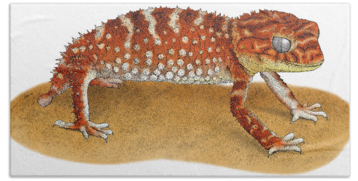Art Beach Towel featuring the photograph Rough Knob-tailed Gecko #1 by Roger Hall