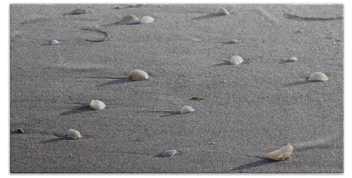 Beach Beach Towel featuring the photograph Shell Shadows #1 by Catie Canetti