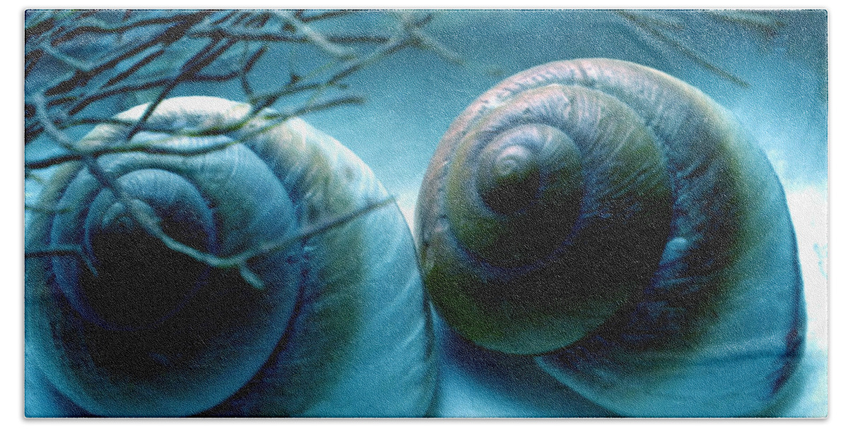 Colette Beach Towel featuring the photograph Snail Joy #2 by Colette V Hera Guggenheim
