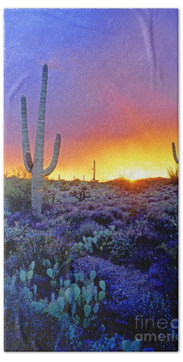 Sonoran Beach Towel featuring the photograph Sonoran Desert At Dusk #3 by Adam Sylvester