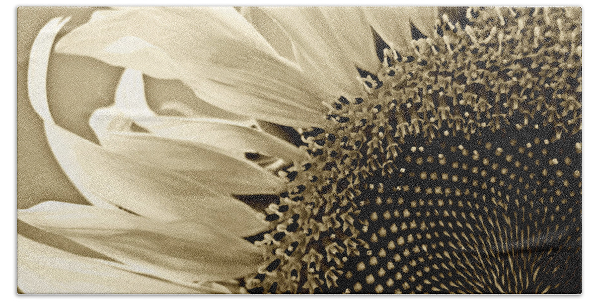Sunflower Beach Towel featuring the photograph Sunny Bloom Sunflower by Carol F Austin