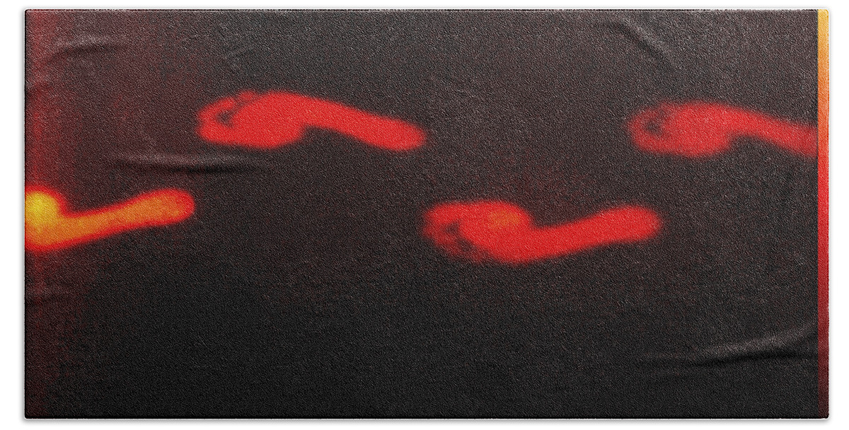 Barefoot Beach Towel featuring the photograph Thermogram Of Thermal Footprints #1 by GIPhotoStock