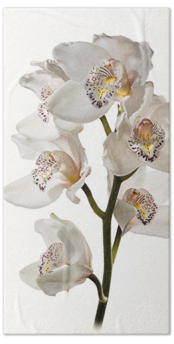 Flower Beach Towel featuring the photograph White Orchids by Endre Balogh
