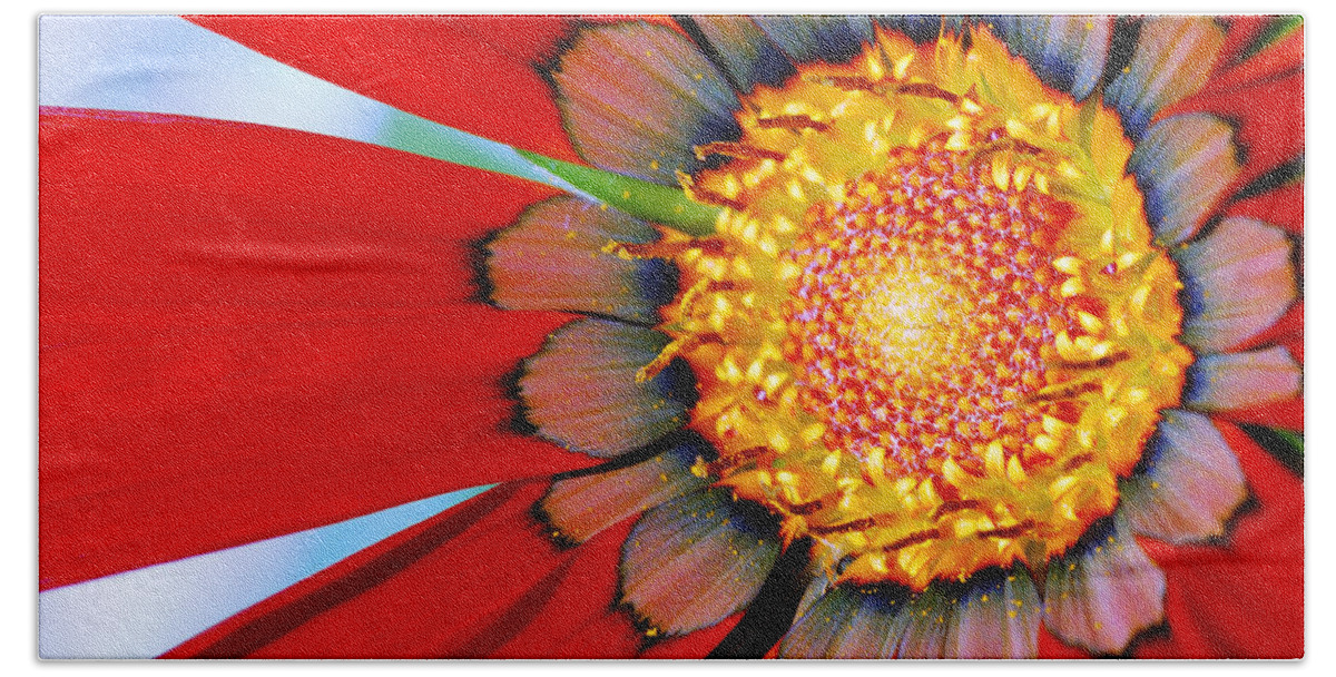Zinnia Beach Towel featuring the photograph Zinnia In Red by Wendy Wilton
